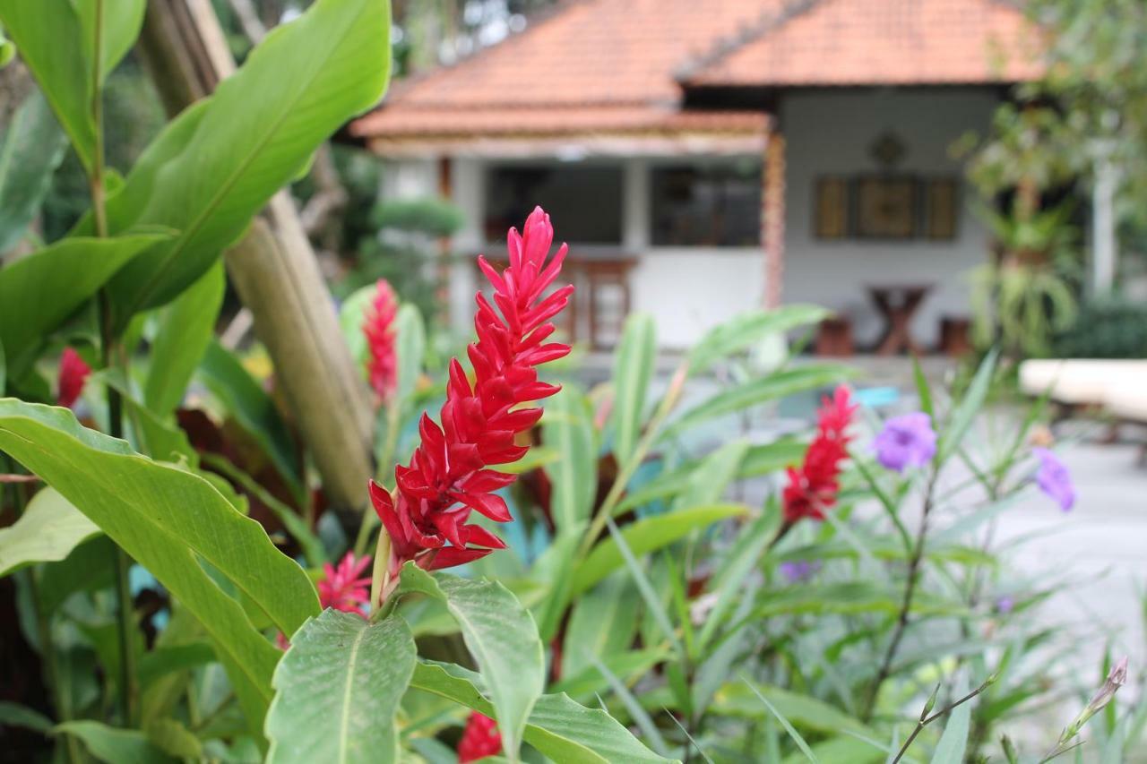 Villa Sindu Ubud Exterior photo