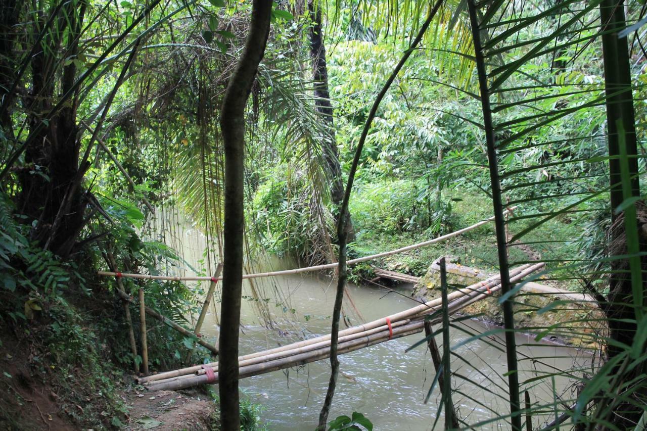 Villa Sindu Ubud Exterior photo