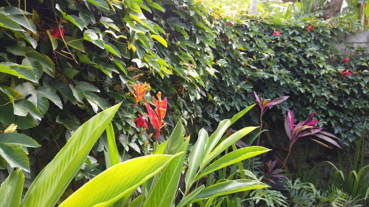Villa Sindu Ubud Exterior photo